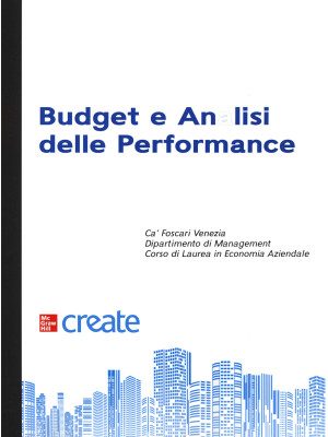 Budget e analisi delle performance