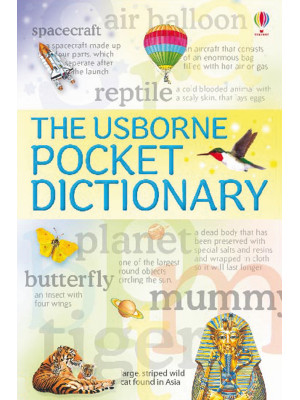 The Usborne pocket dictiona...