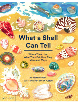 What a shell can tell. Wher...