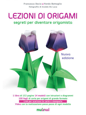 Lezioni di origami. Segreti...