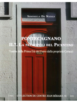 Pontecagnano. Vol. 2/7: La ...