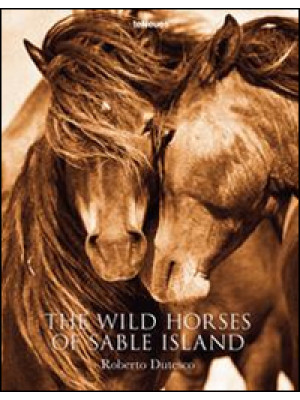 The wild horses of sable is...