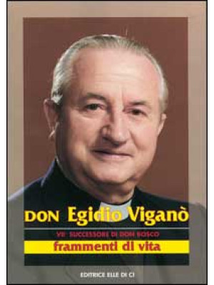 Don Egidio Viganò. VII succ...