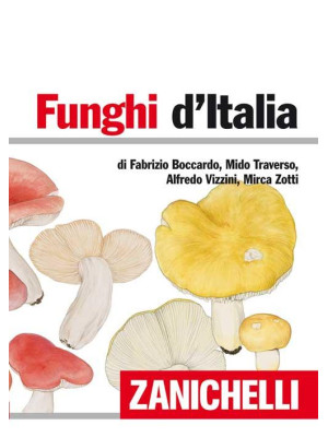 Funghi d'Italia