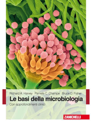 Le basi della microbiologia...