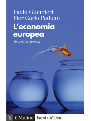 L'economia europea. Tra cri...