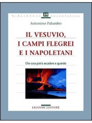 Il Vesuvio, i Campi Flegrei...