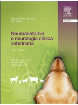 Neuroanatomia e neurologia ...