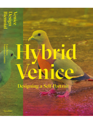 Hybrid Venice. Designing a ...