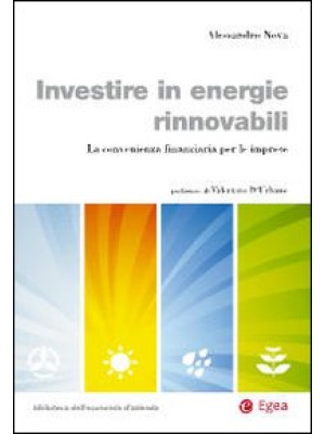 Investire in energie rinnov...
