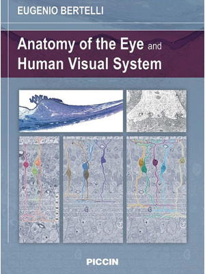 Anatomy of the eye and huma...