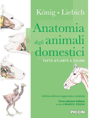 Anatomia degli animali dome...