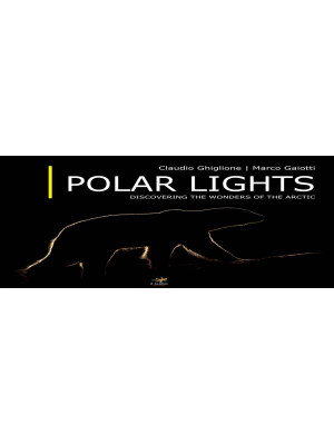 Polar lights. Discovering t...