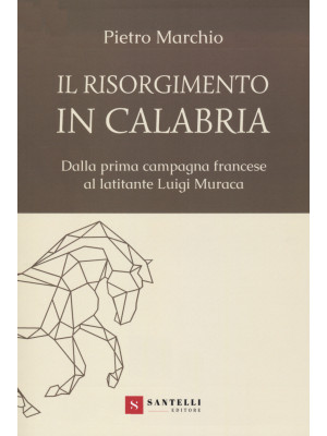 Il Risorgimento in Calabria...