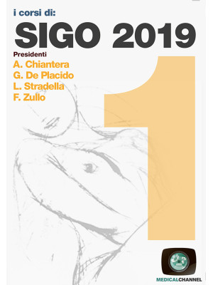 SIGO 2019. Vol. 1