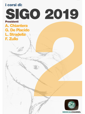 SIGO 2019. Vol. 2
