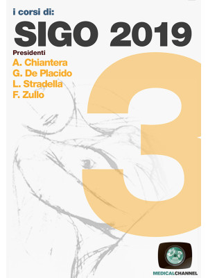 SIGO 2019. Vol. 3