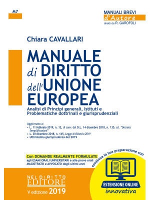Manuale di diritto dell'Unione Europea. Analisi di principi generali, Istituti e problematiche dottrinali e giurisprudenziali. Con espansione online
