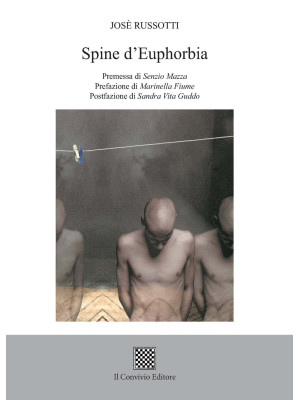 Spine d'euphorbia