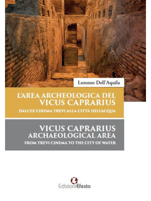 L'area archeologica del Vic...