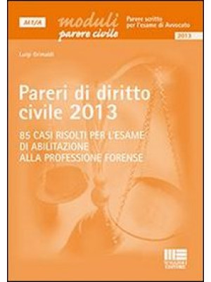 Pareri di diritto civile 2013