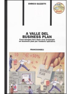 A valle del business plan. ...