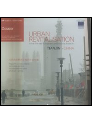 Urban revitalisation in the...