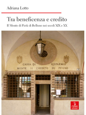 Tra beneficenza e credito. Il Monte di Pietà di Belluno nei secoli XIX e XX