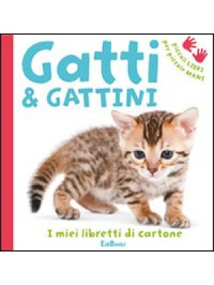 Gatti & gattini. Ediz. illu...