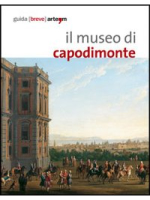 Il museo di Capodimonte di ...