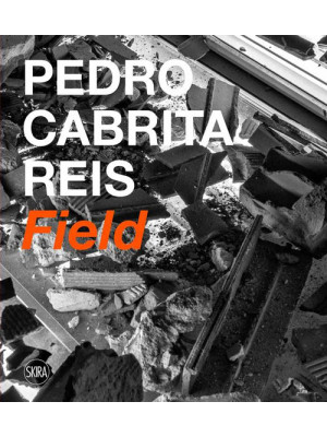 Pedro Cabrita Reis. Field