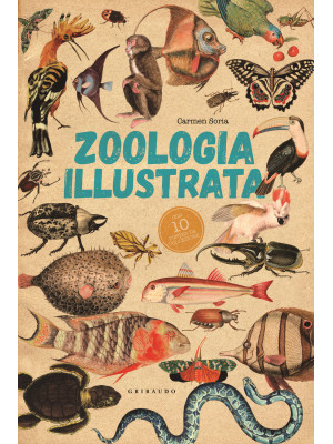 Zoologia illustrata. Con 10...