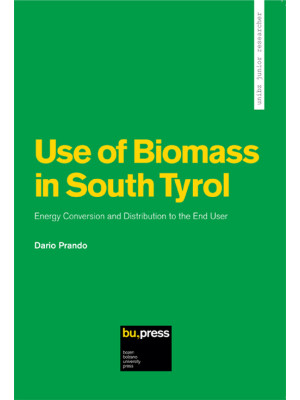 Use of biomass in South Tyr...