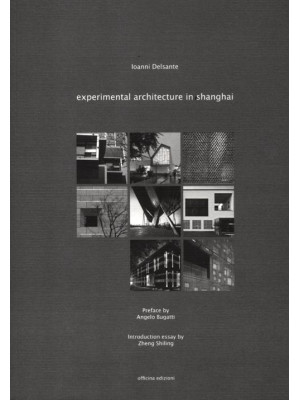 Experimental architecture i...