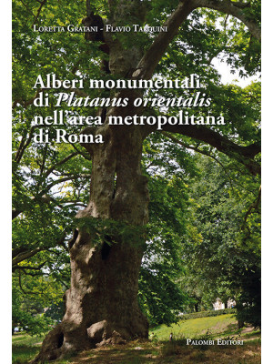 Alberi monumentali di Platanus orientalis nell'area metropolitana di Roma