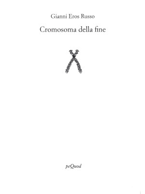 Cromosoma della fine
