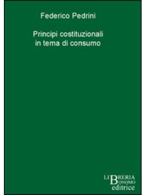 Principi costituzionali in ...