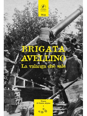 Brigata Avellino. La valang...