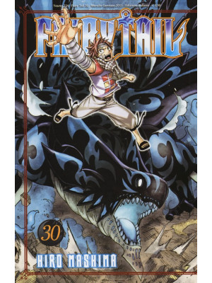 Fairy Tail. Vol. 30