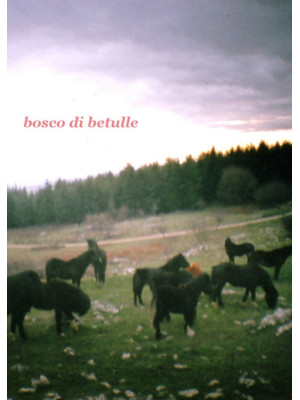 Bosco di betulle. Ediz. italiana e inglese