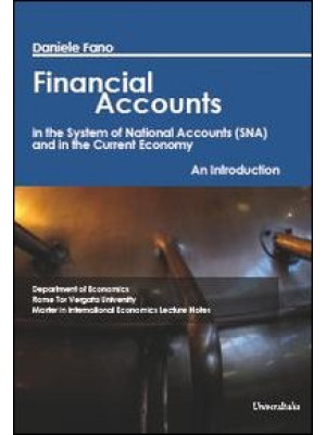 Financial accounts in the s...