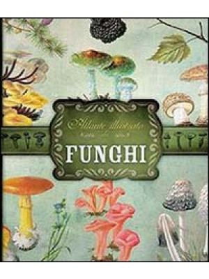 Atlante illustrato dei funghi