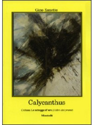 Calycanthus