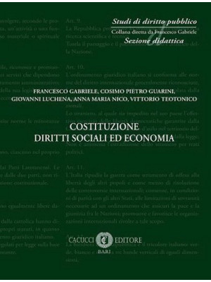 Costituzione diritti sociali ed economia. Nuova ediz.