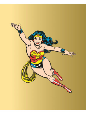 Wonder Woman. Il mito. Ediz...