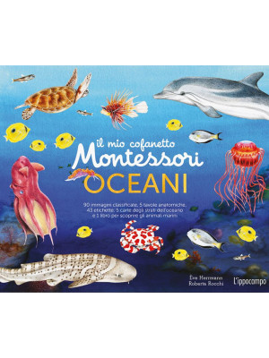 Il mio cofanetto Montessori degli oceani. Ediz. a colori. Con 90 carte degli animali. Con 5 carte degli strati dell'oceano. Con 43 etichette. Con 5 tavole anatomiche