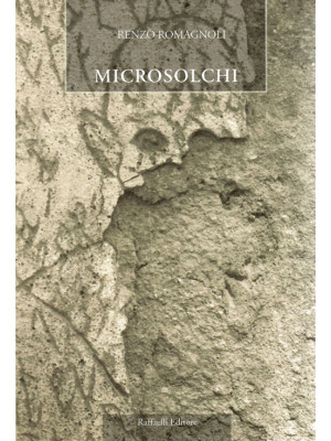 Microsolchi
