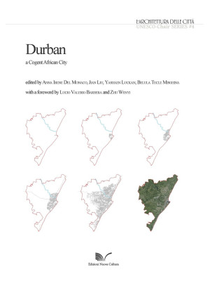 Durban, a cogent African City