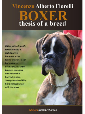 Boxer. Thesis of a breed