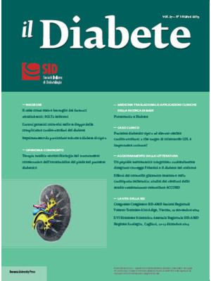 Il diabete (2015). Vol. 27/1